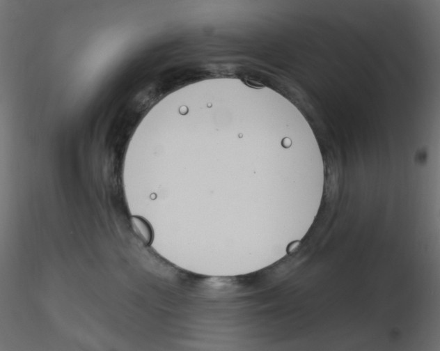 X0000116630477200912312203
