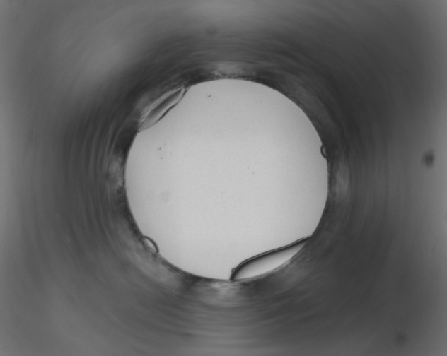 X0000116630478200912312203