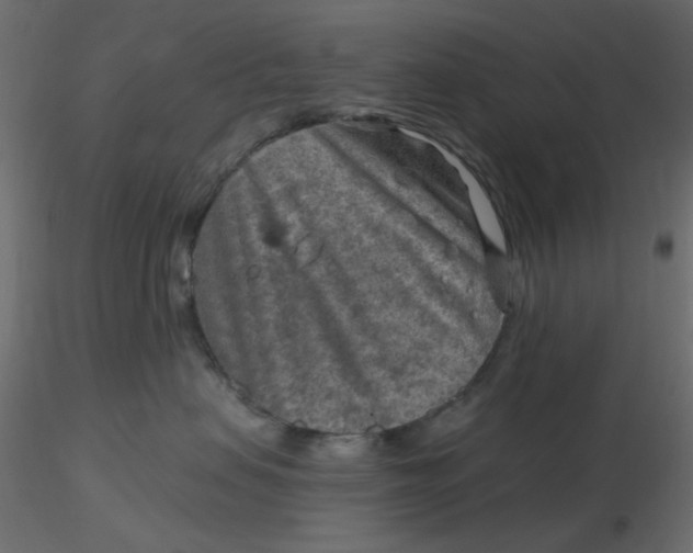 X0000116630479200912312203
