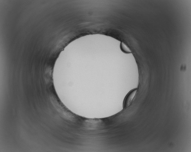 X0000116630480200912312204