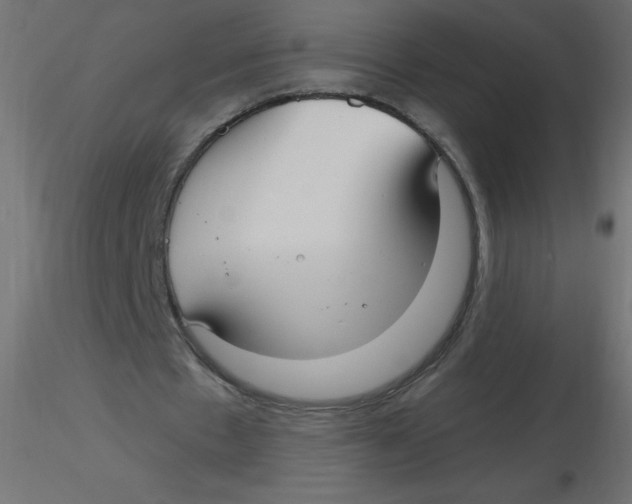 X0000116630481200912312203