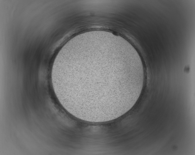 X0000116630482200912312203
