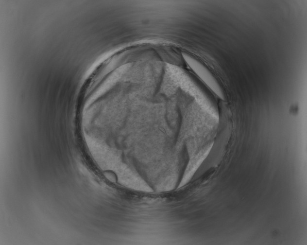 X0000116630484200912312203