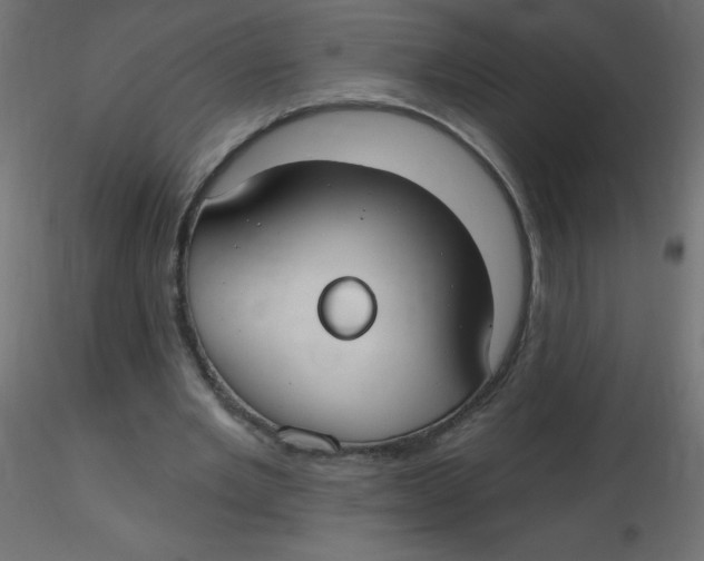 X0000116630485200912312203