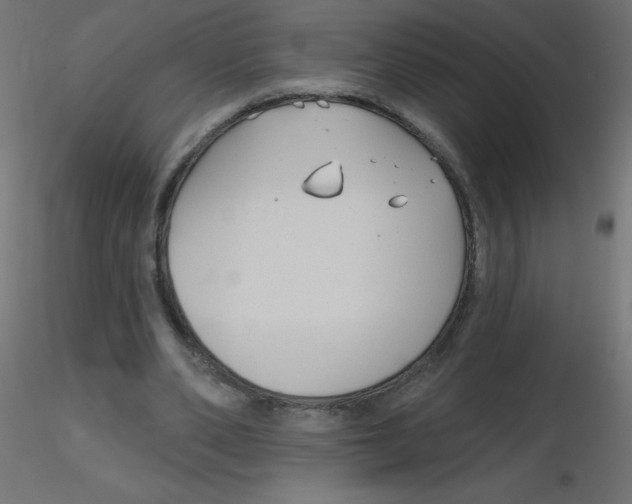X0000116630486200912312203