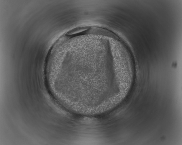X0000116630487200912312203