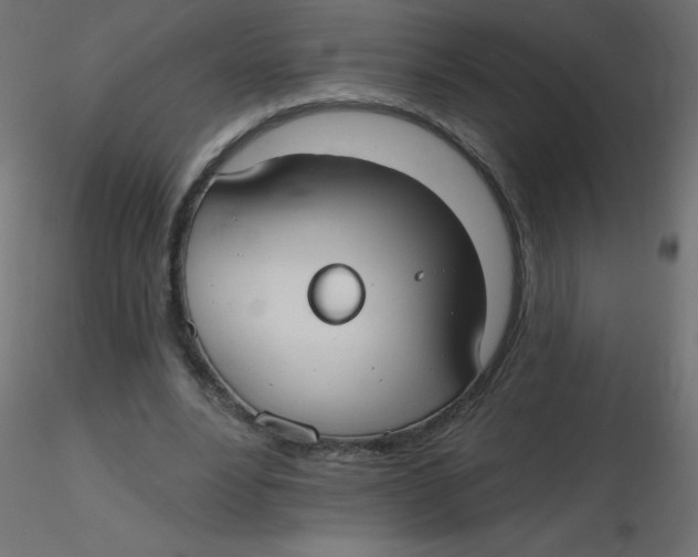 X0000116630488200912312203