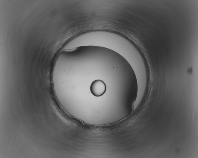 X0000116630489200912312203