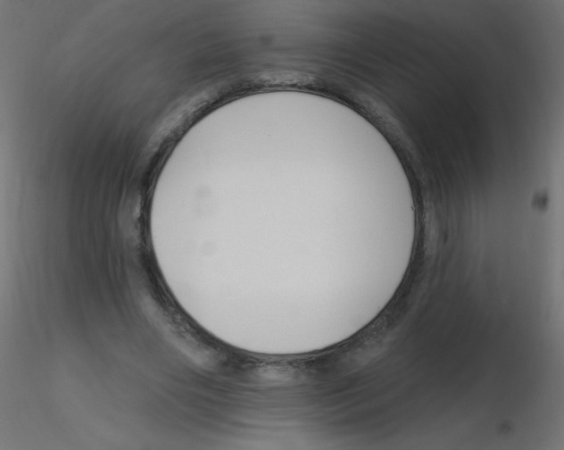 X0000116630490200912312203