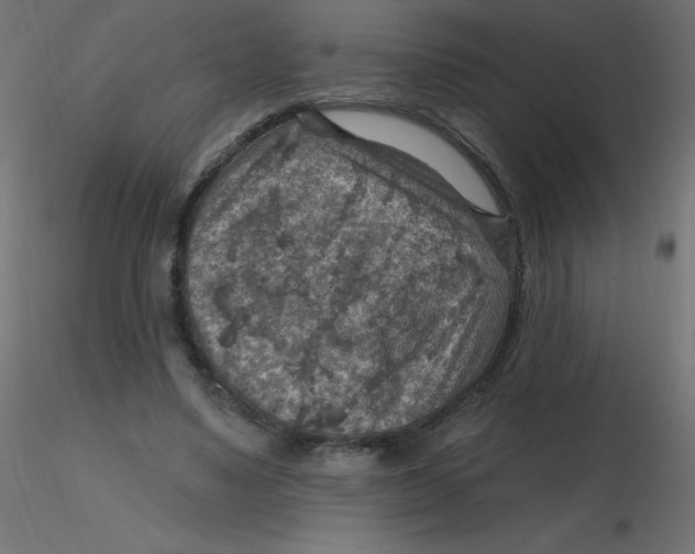 X0000116630491200912312203