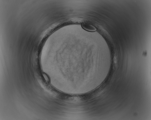 X0000116630492200912312203