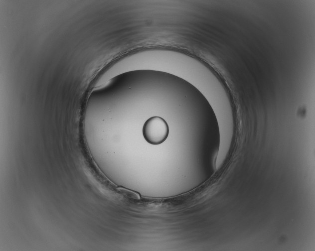 X0000116630493200912312203