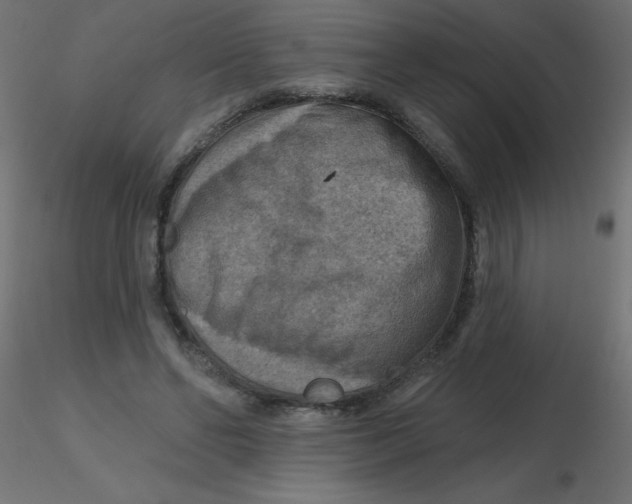 X0000116630494200912312203