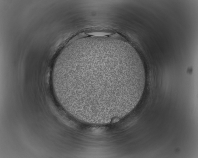 X0000116630495200912312203