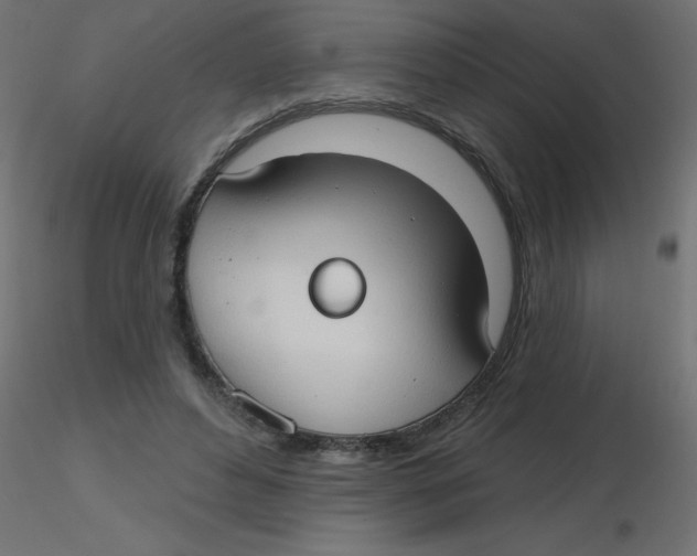 X0000116630496200912312203