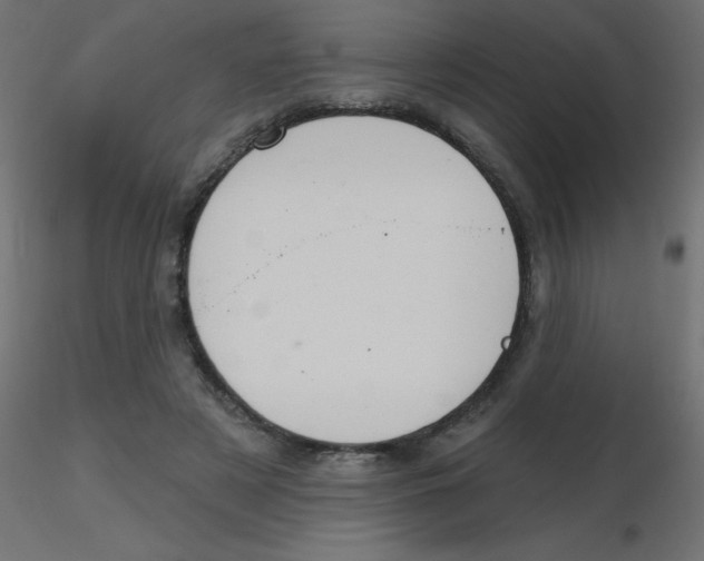 X0000116630497200912312203