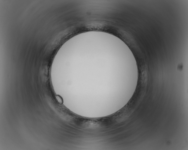 X0000116630498200912312203