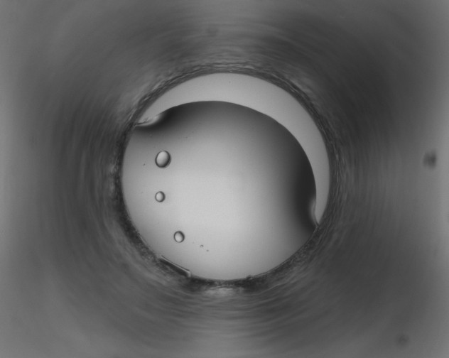 X0000116630499200912312203