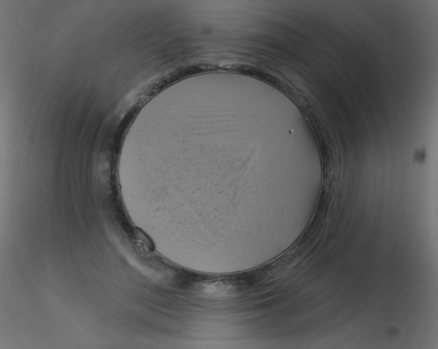 X0000116630500200912312203