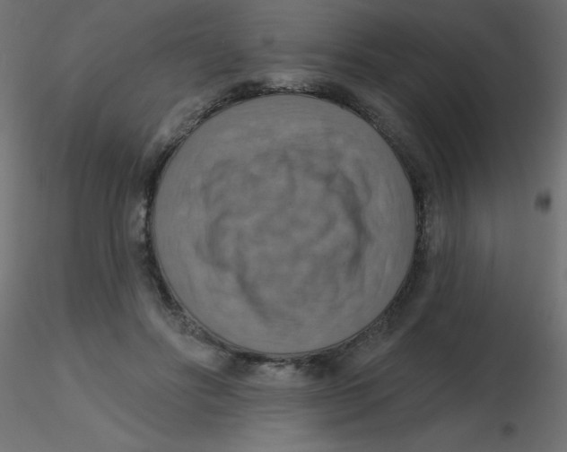 X0000116630502200912312203