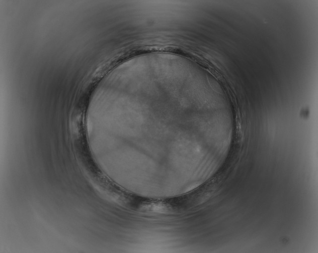 X0000116630503200912312203