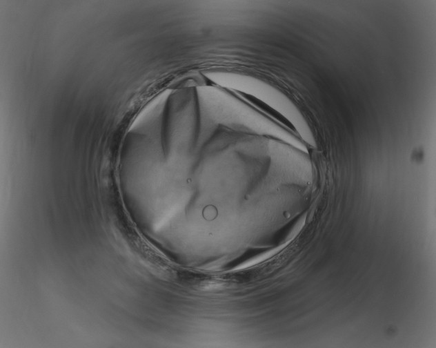 X0000116630504200912312203
