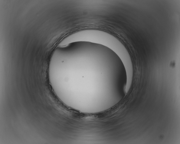 X0000116630505200912312203