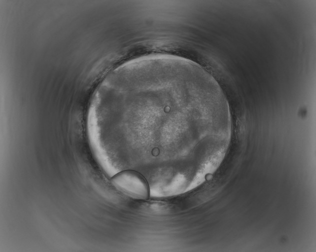 X0000116630506200912312202