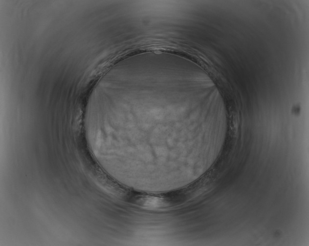 X0000116630507200912312202