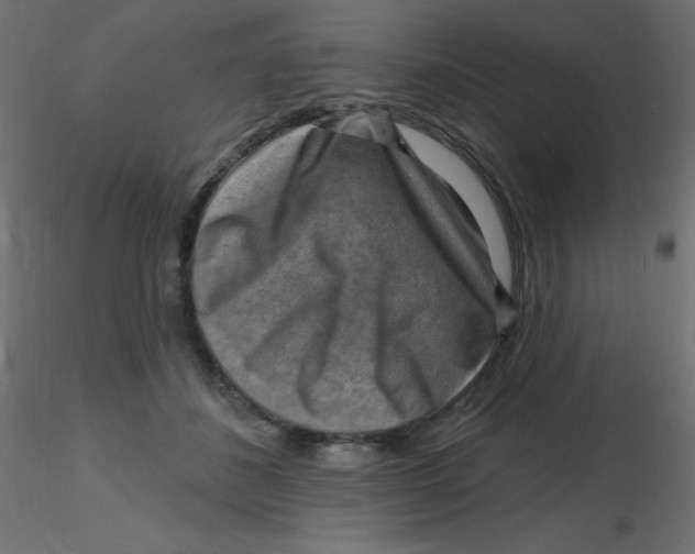 X0000116630508200912312202