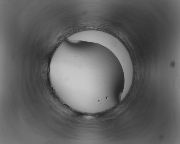 X0000116630509200912312202