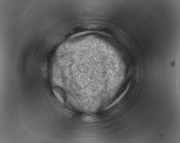 X0000116630510200912312202