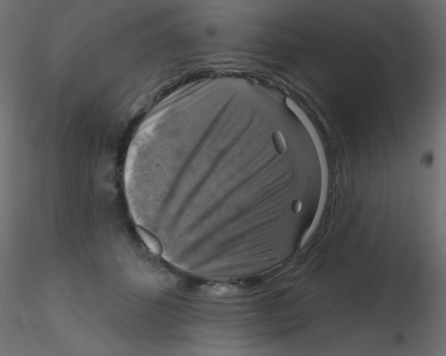 X0000116630512200912312202