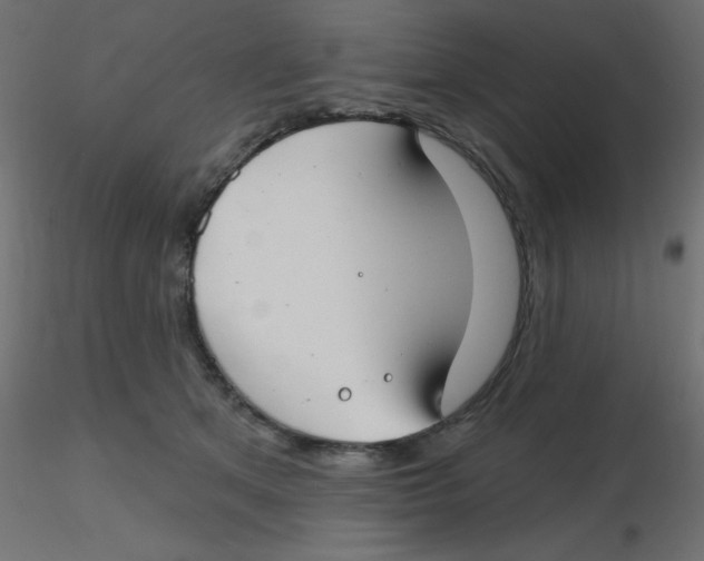 X0000116630513200912312202