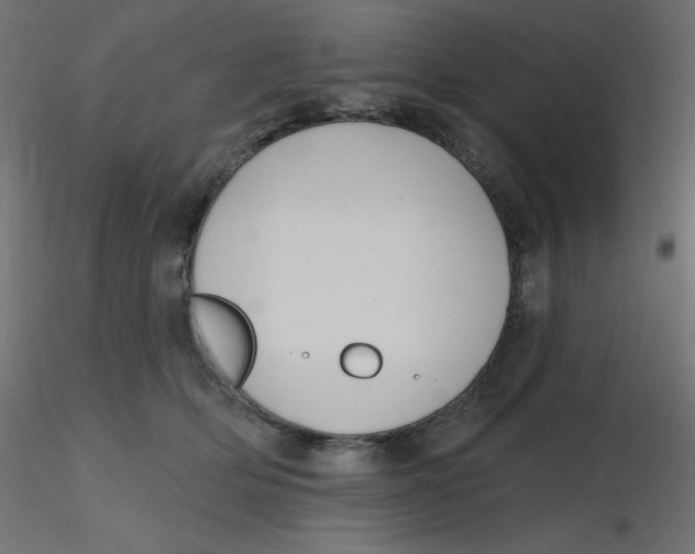 X0000116630514200912312202