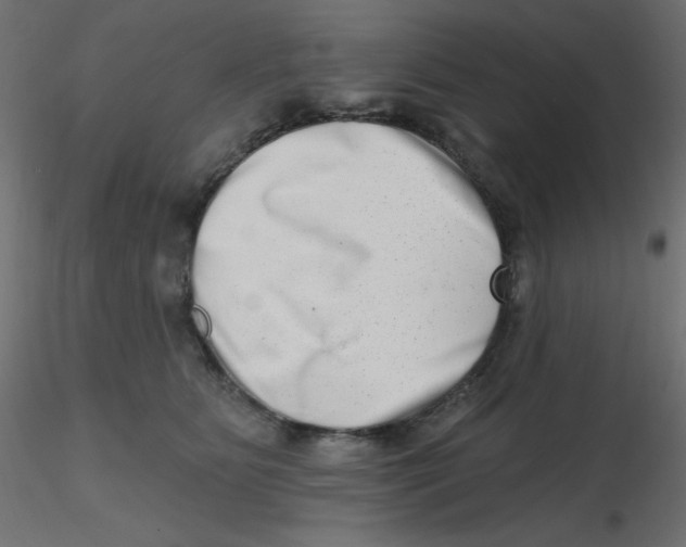 X0000116630515200912312202