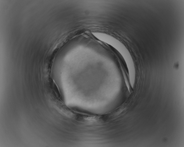 X0000116630516200912312202