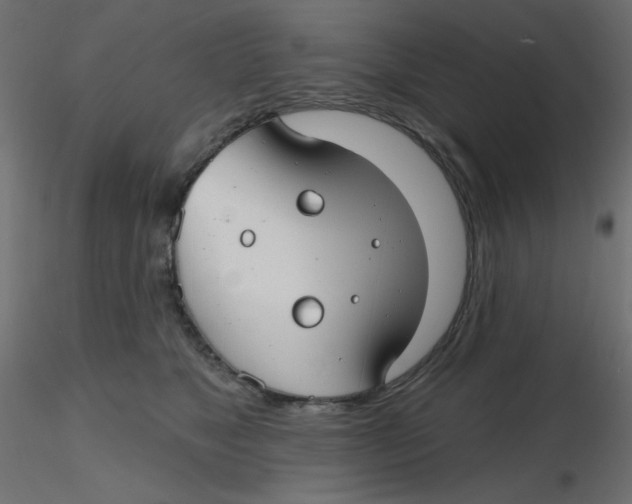 X0000116630517200912312202