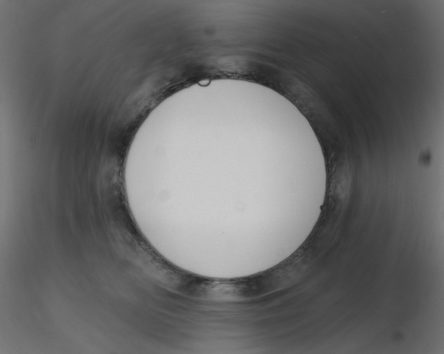 X0000116630518200912312202