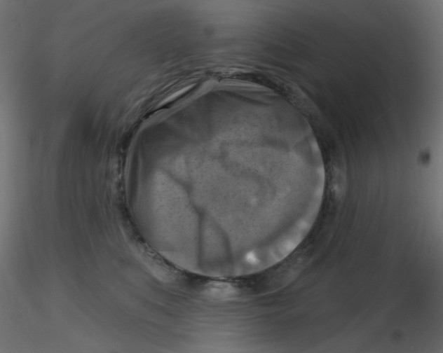 X0000116630519200912312202