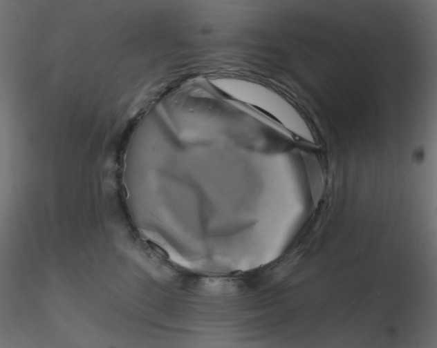 X0000116630520200912312202