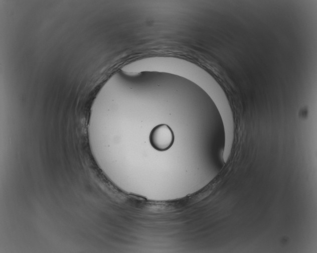 X0000116630521200912312202