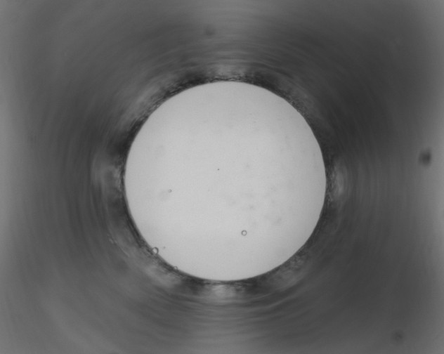 X0000116630522200912312202