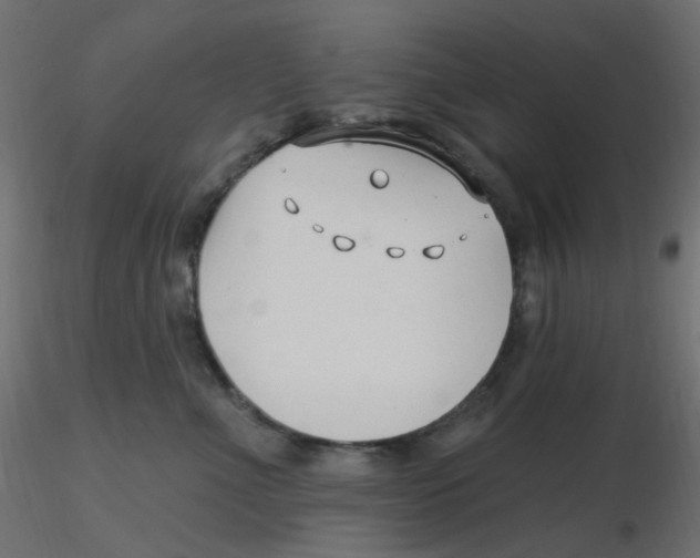 X0000116630523200912312202