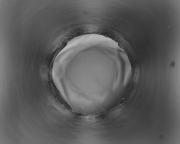 X0000116630524200912312202