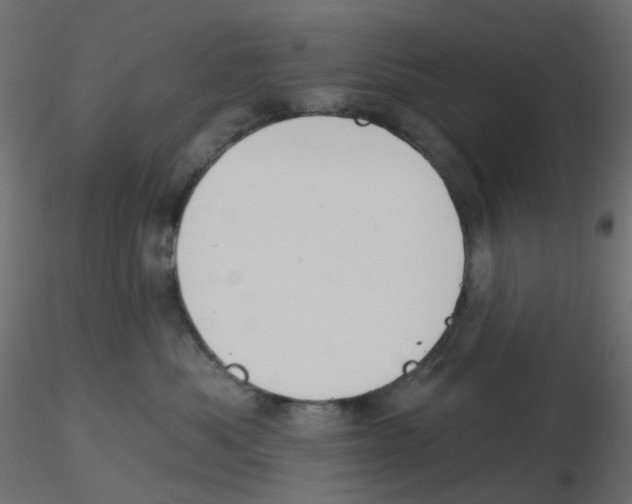 X0000116630525200912312202