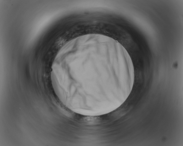 X0000116630526200912312202