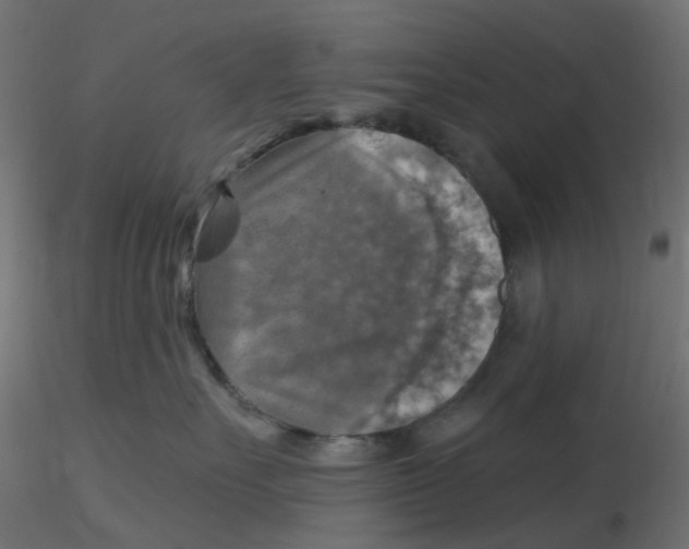 X0000116630527200912312202