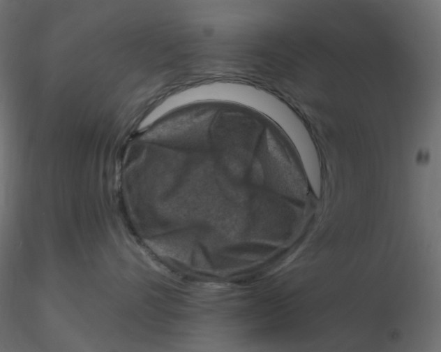 X0000116630528200912312202