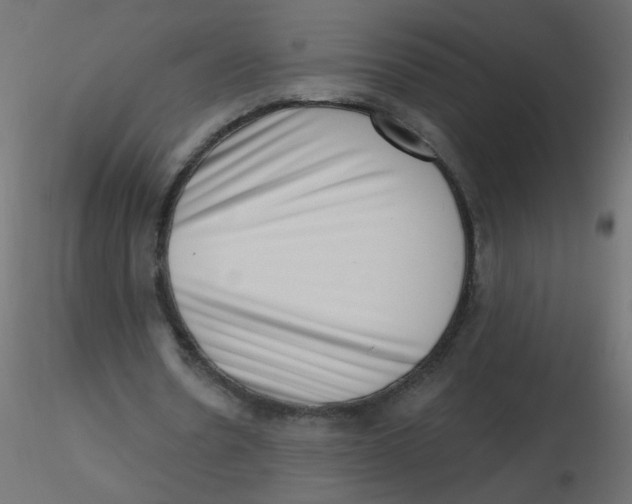 X0000116630530200912312202